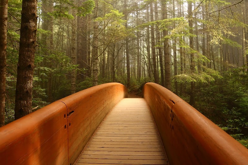 Tall Trees and Tranquility: Lady Bird Johnson Grove Trail - Lady Bird Johnson Grove Trail
