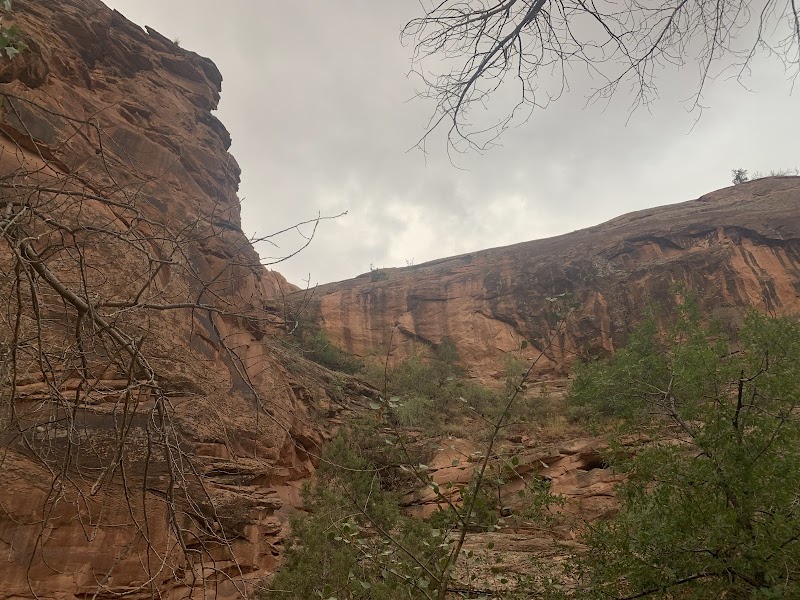 Discover the Grandeur of Moonflower Canyon surrounding landscape