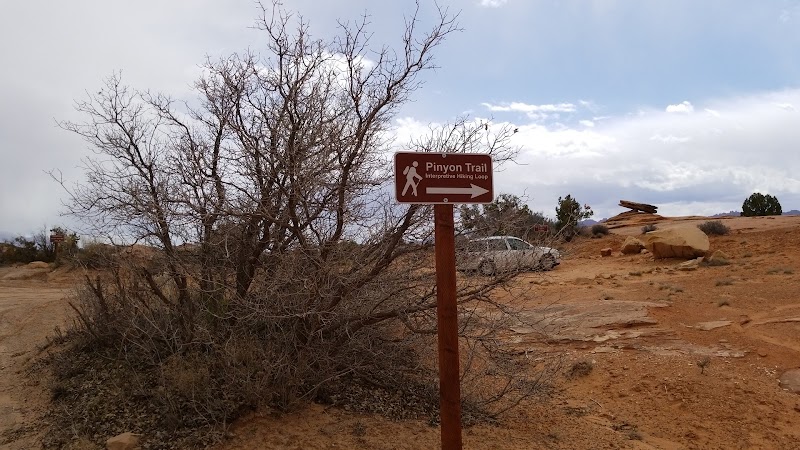 Captivating Trails of Pinyon Trail - Pinyon Trail