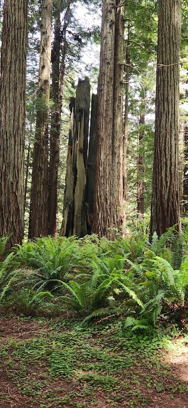 Nature's Oasis at Diamond Trail Start - Diamond trail start