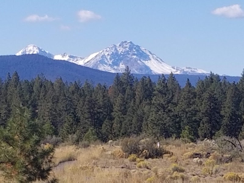 Discover the Tranquil Trails at Shevlin Commons - Shevlin Commons Trailhead
