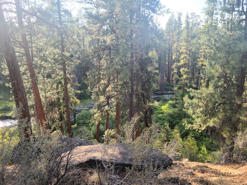 Discover the Tranquil Trails at Shevlin Commons - Shevlin Commons Trailhead