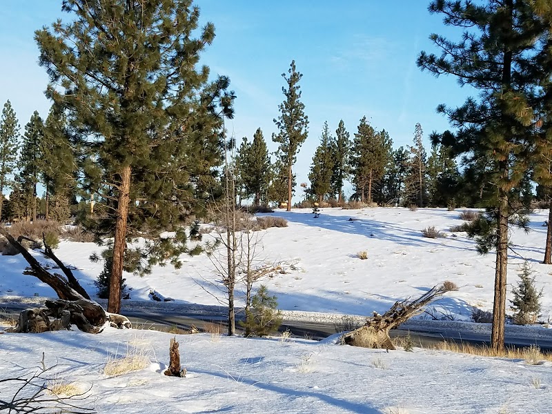 Discover the Tranquil Trails at Shevlin Commons surrounding landscape