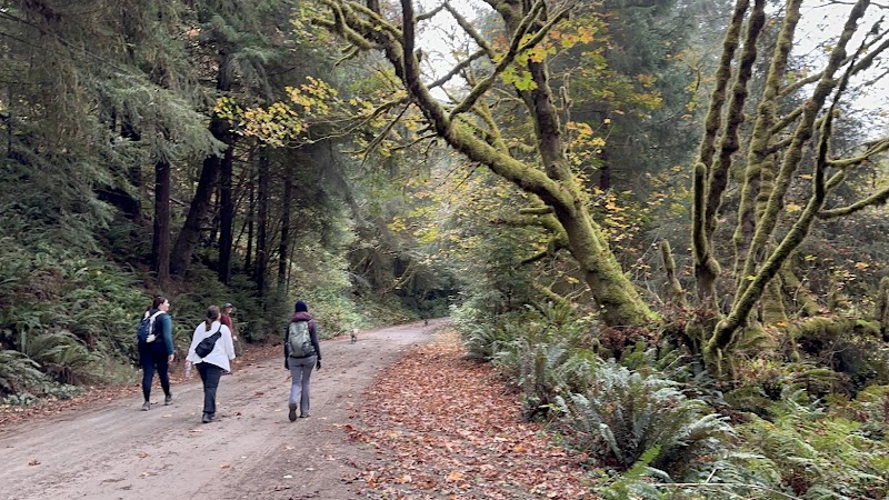 Nature's Serenity: McKay Community Forest - McKay Community Forest