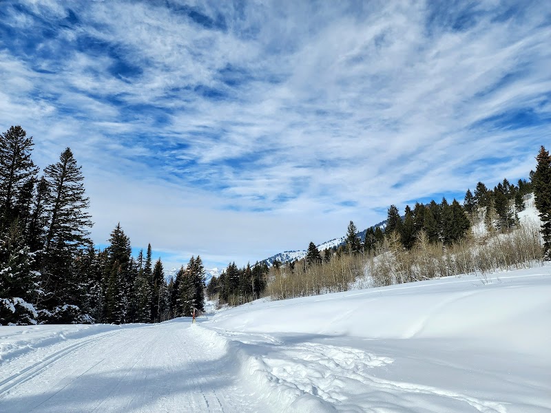 Cache Creek Trailhead: A Biker's Haven in Jackson, Wyoming - Cache Creek Trailhead