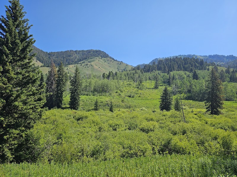 Cache Creek Trailhead: A Biker's Haven in Jackson, Wyoming - Cache Creek Trailhead