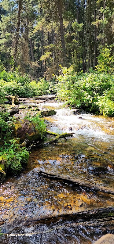 Cache Creek Trailhead: A Biker's Haven in Jackson, Wyoming surrounding landscape