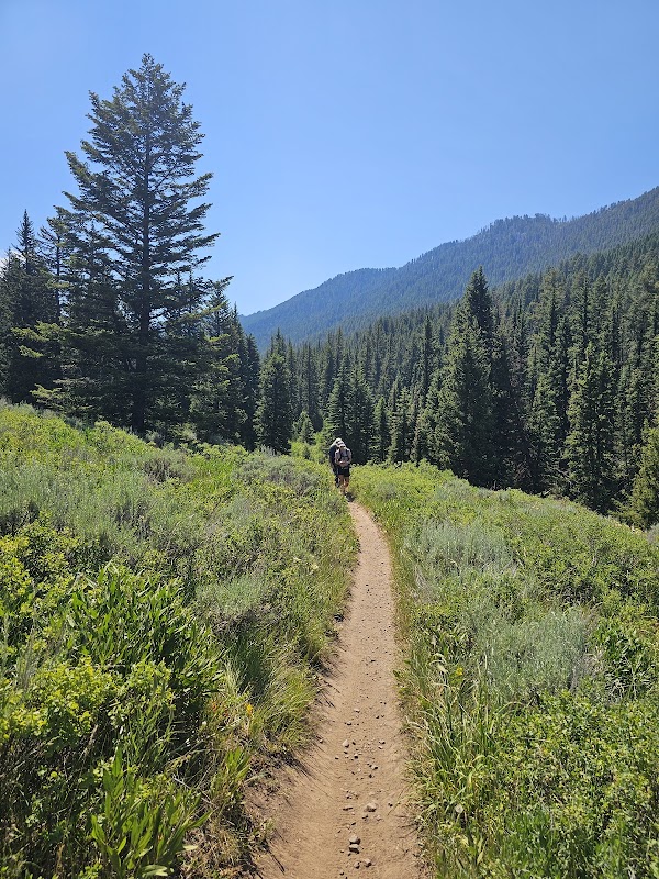 Cache Creek Trailhead: A Biker's Haven in Jackson, Wyoming - Cache Creek Trailhead