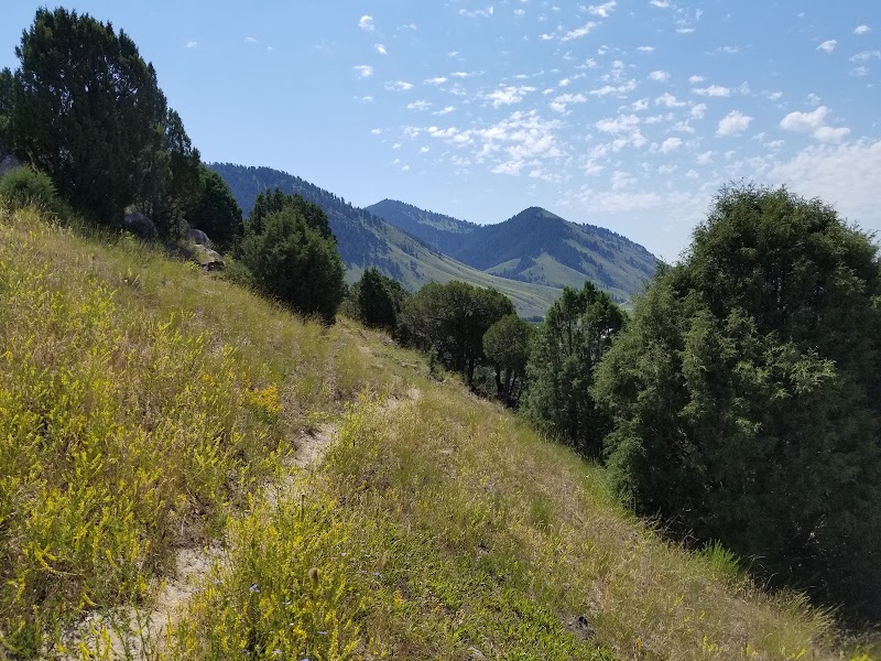 Discover the Charm of High School Butte - High School Butte