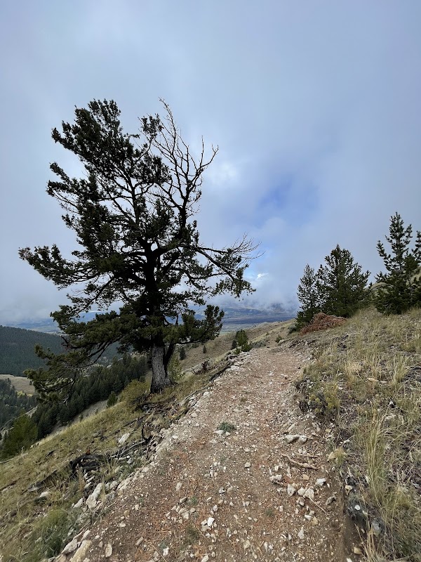 Hiking Marvel: Josie’s Ridge via Sink or Swim Trailhead - Josie’s Ridge via Sink or Swim Trailhead