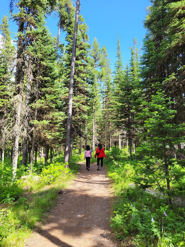 Scenic Splendor along Lakeshore Trail, Moran surrounding landscape