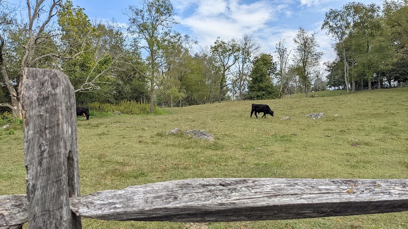 Discover the Enchantment of Watauga Trail Head, Abingdon, VA - Watauga Trail Head Creeper Trail Parking