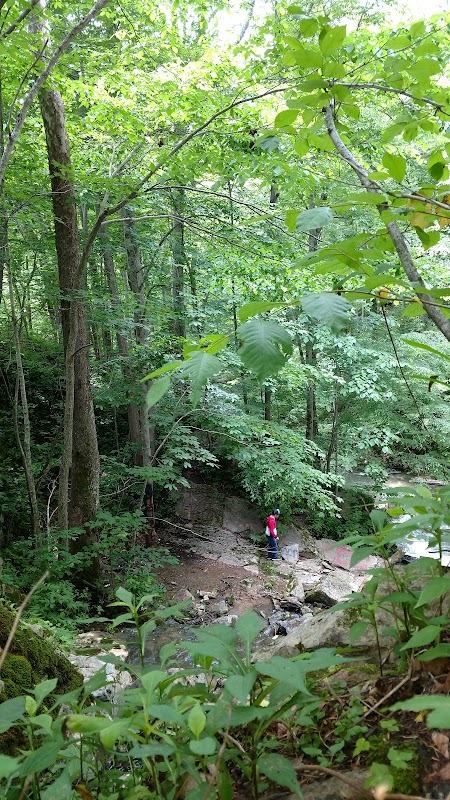 Waterfall Wonders at Falls Of Logan Creek outdoor detail