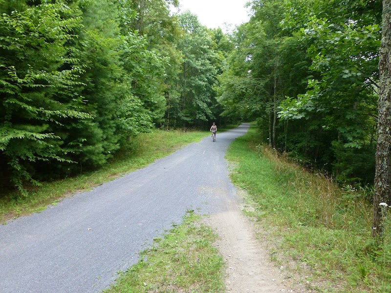 Biking Bliss on the Virginia Creeper Trail surrounding landscape