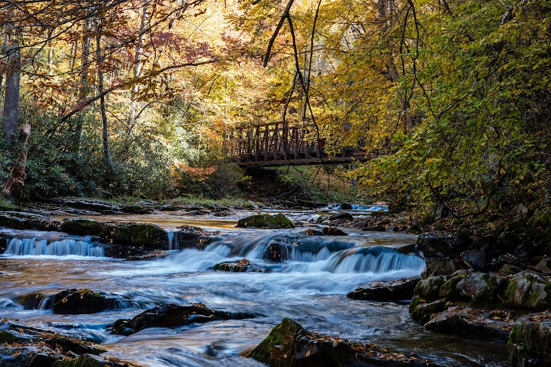 Biking Bliss on the Virginia Creeper Trail - Virginia Creeper Trail