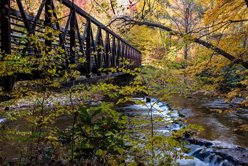 Biking Bliss on the Virginia Creeper Trail - Virginia Creeper Trail