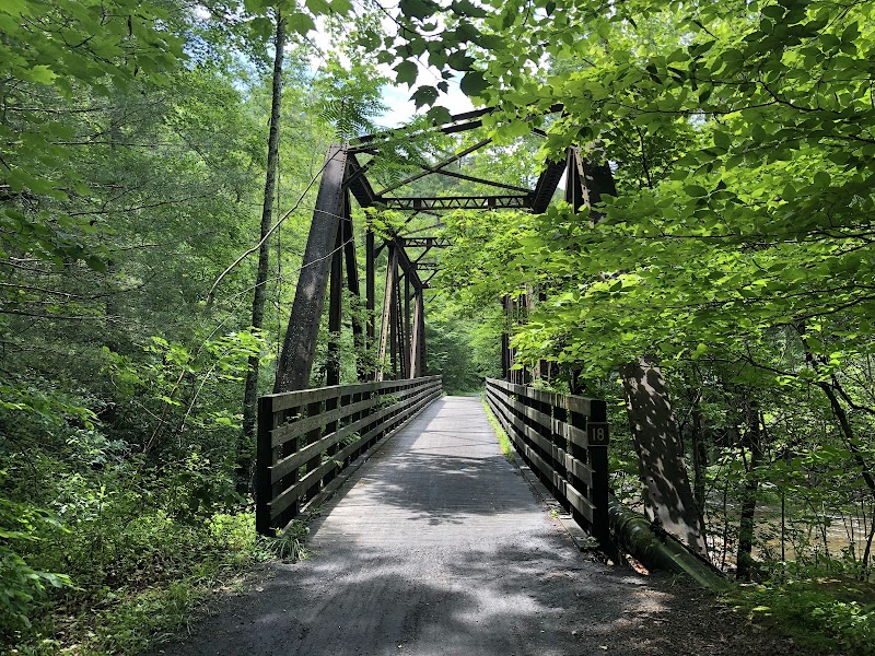 Biking Bliss on the Virginia Creeper Trail outdoor detail