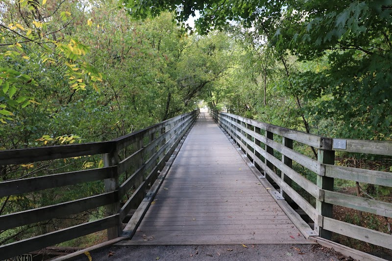 Biking the Virginia Creeper Trail surrounding landscape