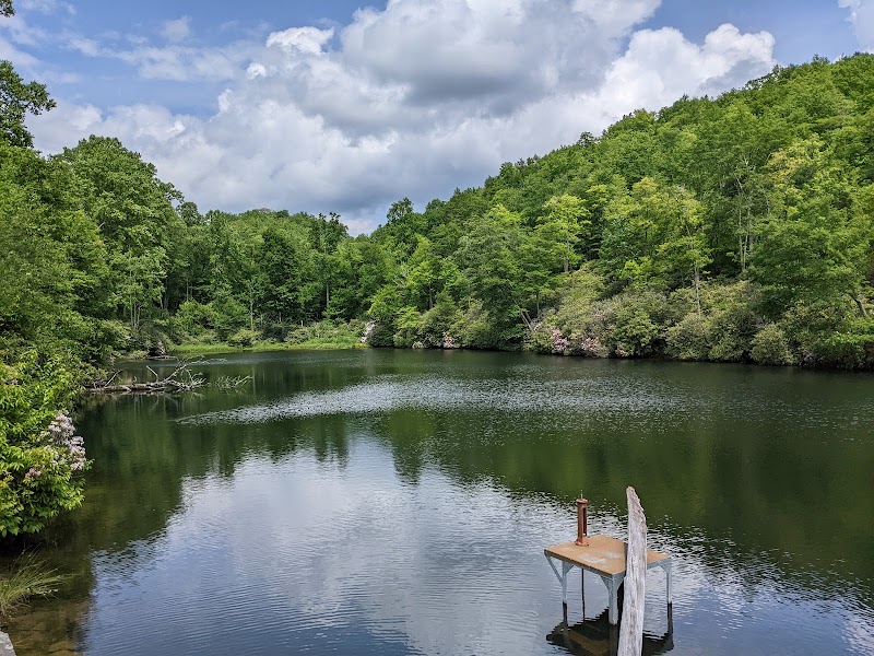 Tranquil Waters & Lush Trails: Julian Price Memorial Park - Julian Price Memorial Park