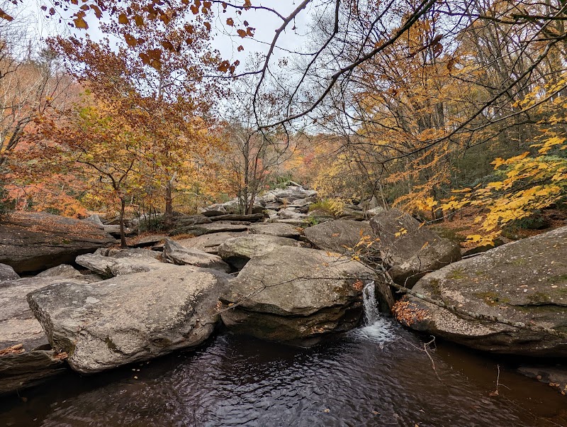 Tranquil Waters & Lush Trails: Julian Price Memorial Park outdoor detail