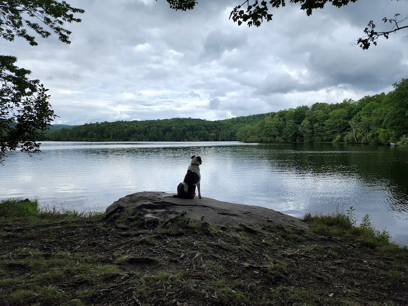 Tranquil Waters & Lush Trails: Julian Price Memorial Park - Julian Price Memorial Park
