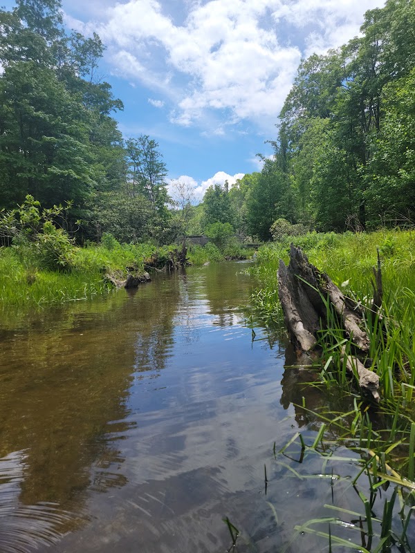 Tranquil Waters & Lush Trails: Julian Price Memorial Park surrounding landscape