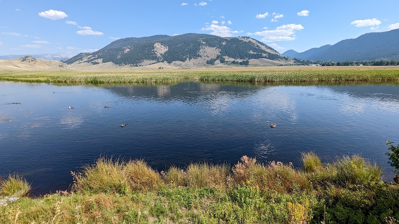 Wildlife Wonders at National Elk Refuge, Jackson, Wyoming surrounding landscape