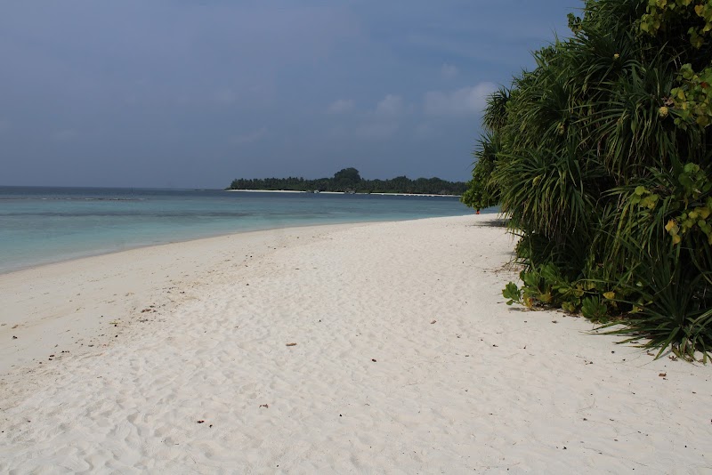 Bikini Beach Bliss in the Maldives - Bikini Beach