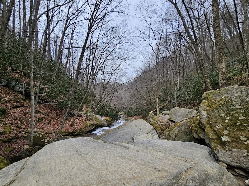 Natural Escape: Crab Orchard Falls outdoor detail