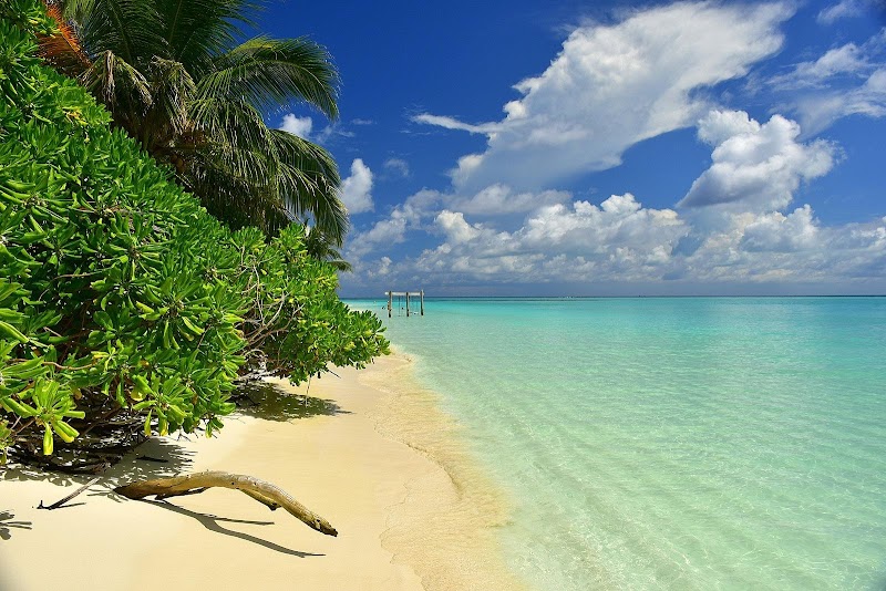 Serenity on Thoddu Beach, Maldives - Thoddu Beach