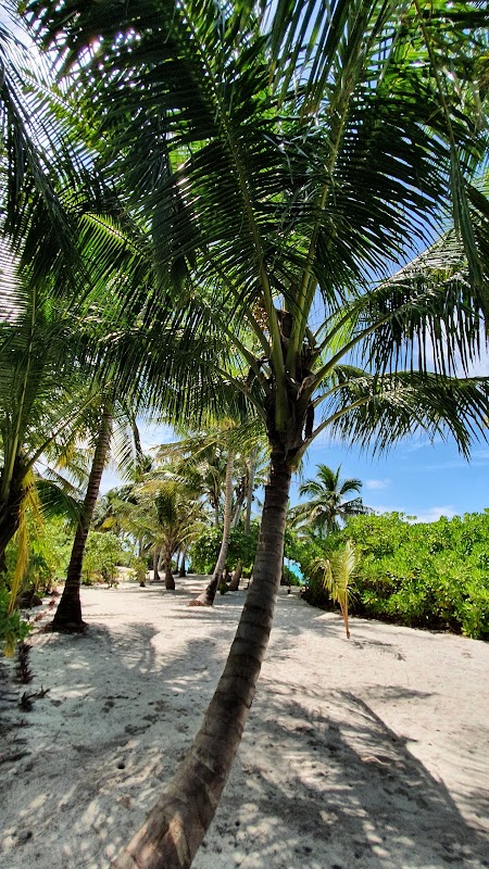 Serenity on Thoddu Beach, Maldives - Thoddu Beach