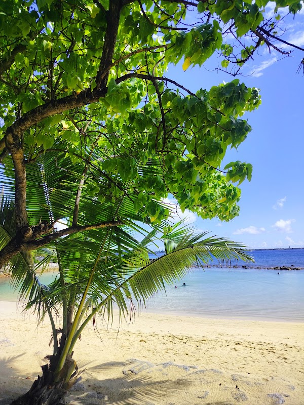 Sun-Kissed Shores of Malé - Artificial Beach