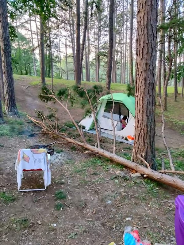 Evening Magic at Washington County Park, Abingdon outdoor detail
