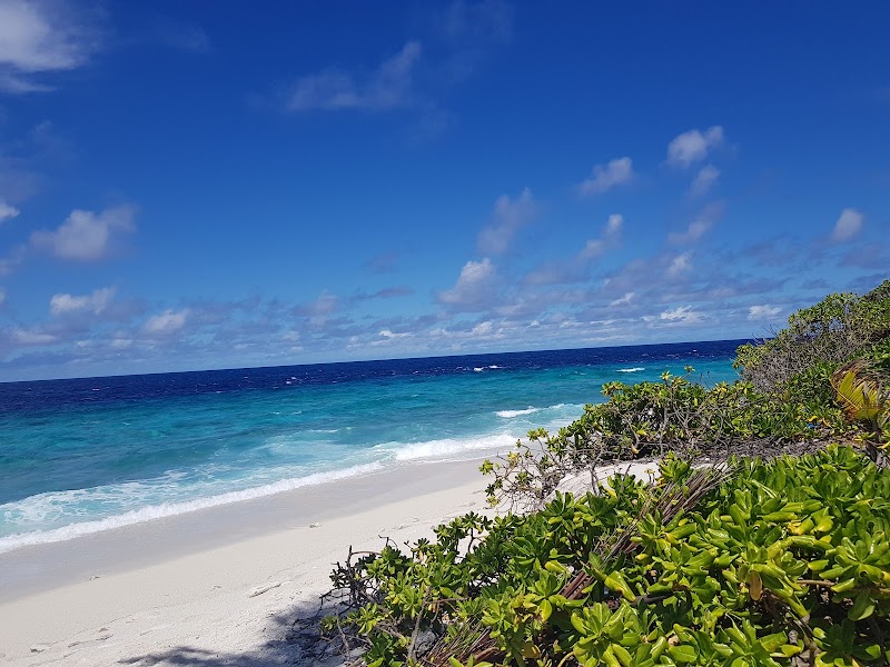 Tropical Paradise: Geiymiskih Fannu - Geiymiskih Fannu