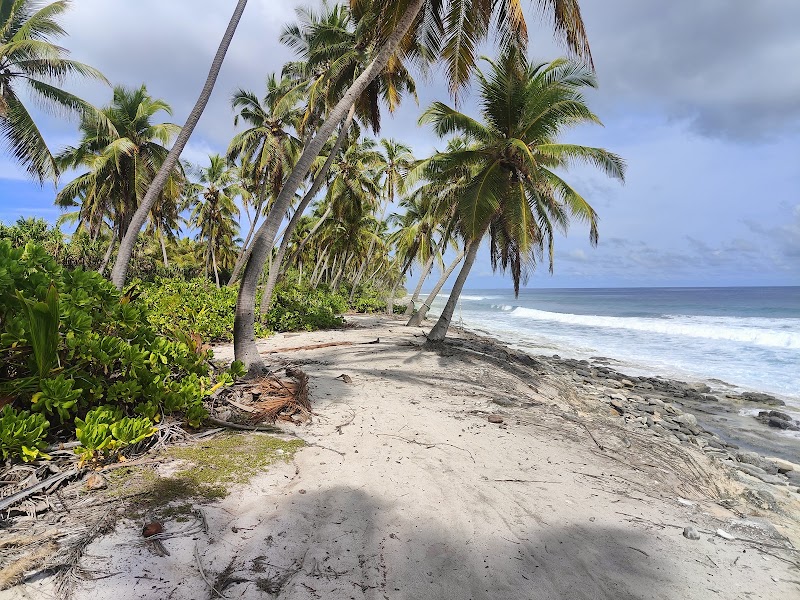 Tropical Paradise: Geiymiskih Fannu - Geiymiskih Fannu