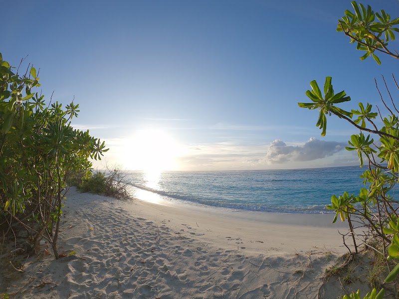 Tropical Escape at Bikini Beach Feridhoo - Bikini Beach Feridhoo