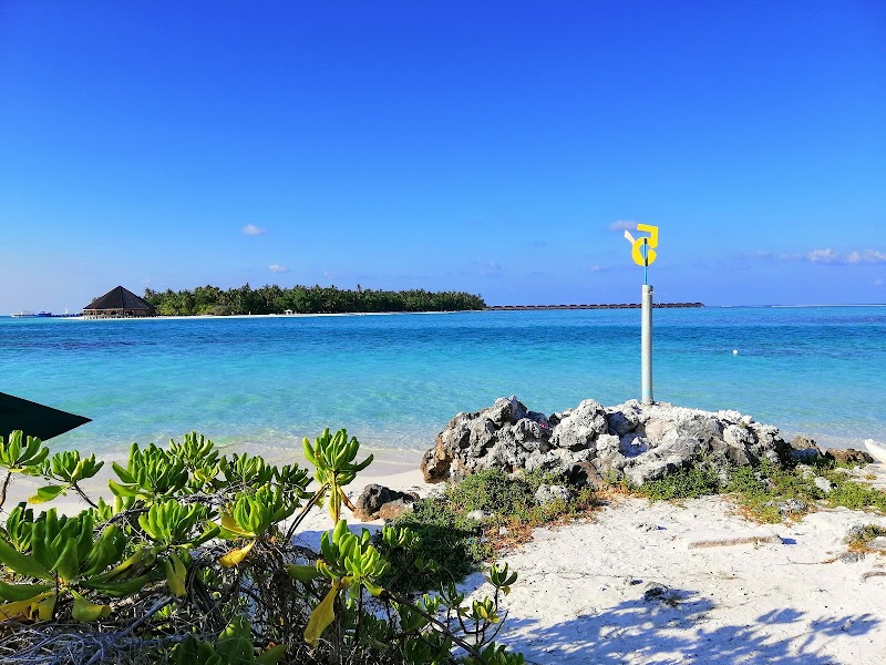 A Serene Escape at Dhiffushi Beach - Dhiffushi beach