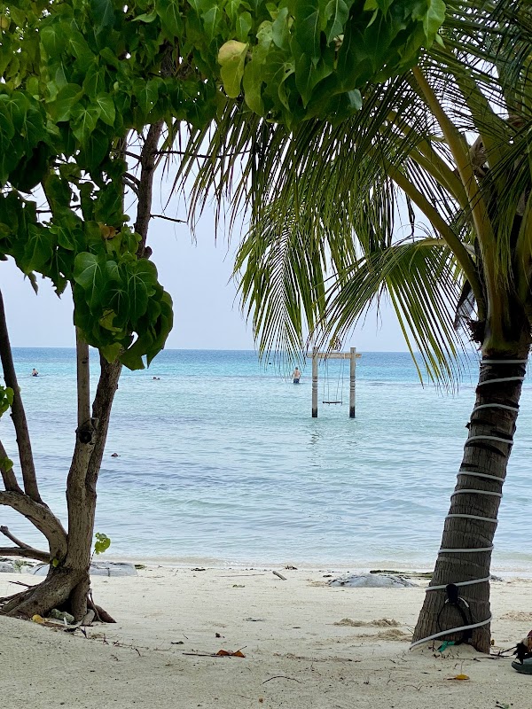 A Serene Escape at Dhiffushi Beach - Dhiffushi beach