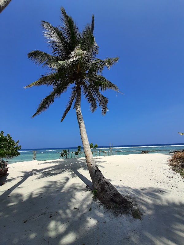 Paradise Shores of Fulidhoo Thundi - Fulidhoo Thundi