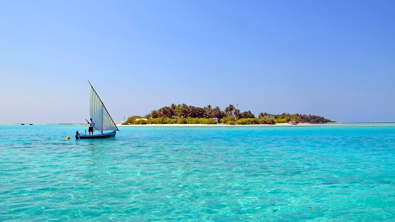 Paradise Shores: Bibee Beach, Maldives - Bibee Beach