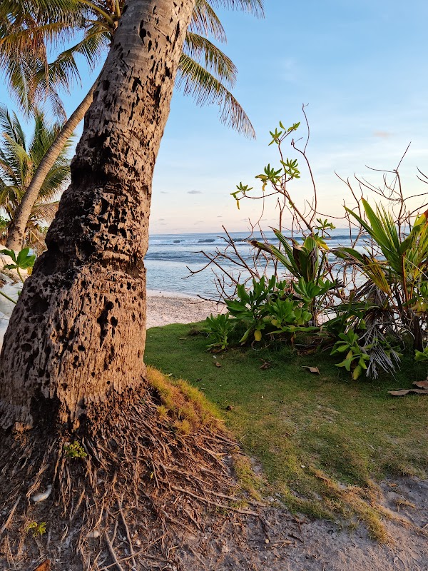 Tropical Escape to Maaneyre Athiri - Maaneyre Athiri