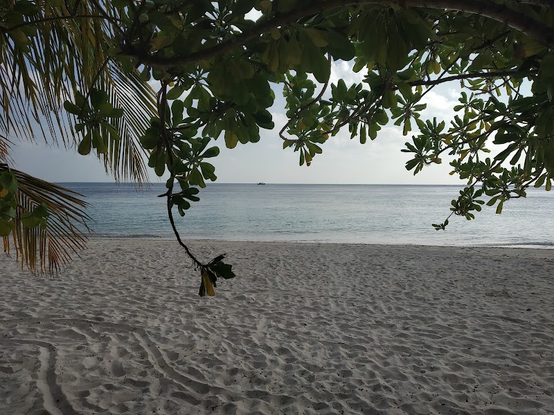 Tropical Paradise: Felidhoo Bikini Beach - Felidhoo Bikini Beach