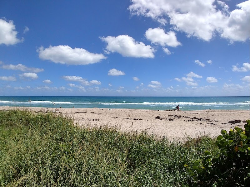 Beaches & Sunshine at Palm Beach Island outdoor detail