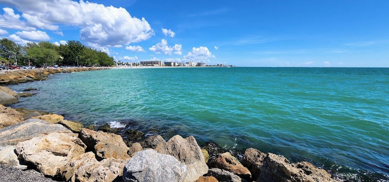 Coastal Charm at Venice Beach, Florida surrounding landscape