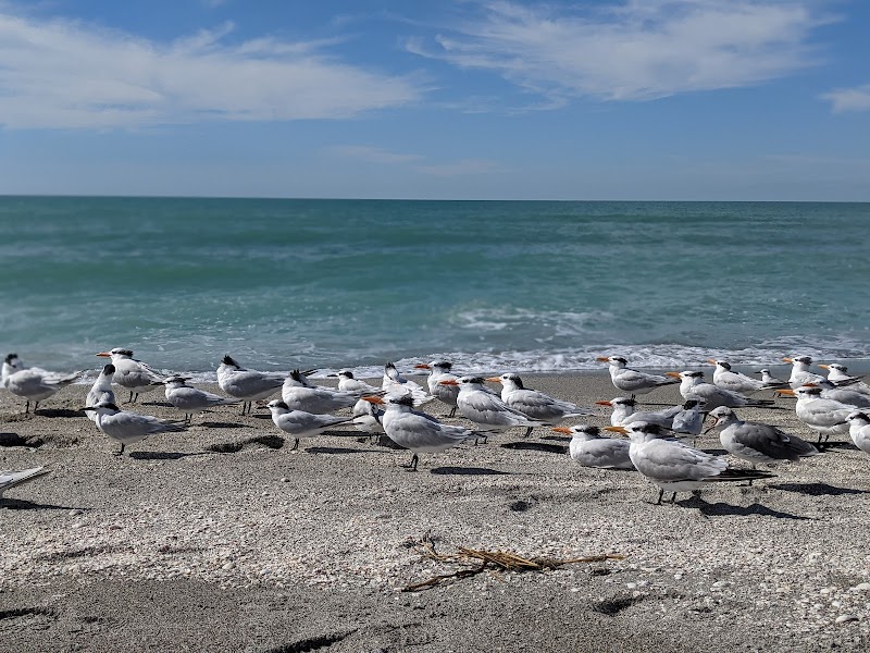 Coastal Charm at Venice Beach, Florida - Venice Beach
