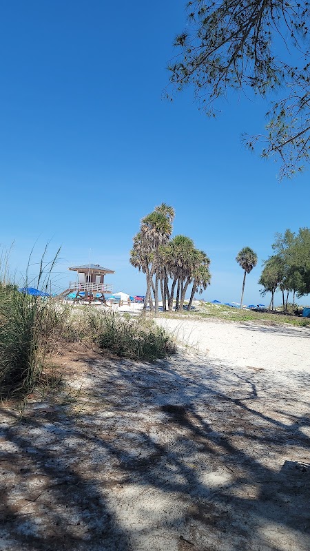 Sandy Shores of Coquina Beach surrounding landscape