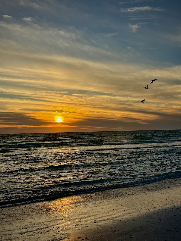 Sandy Retreat: Lido Key Beach outdoor detail