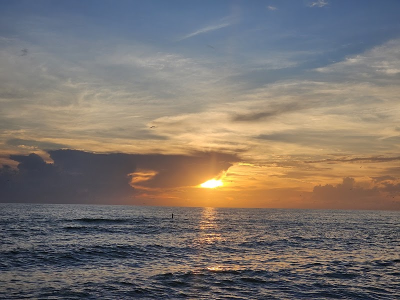 Sun-Soaked Shores: Manatee Public Beach surrounding landscape