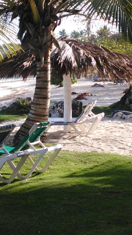 Discover the Serenity of Javo Beach La Playita - Javo Beach La Playita