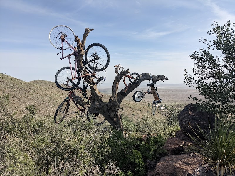 Biking Through Bike Tree at Hancock Hill - Hancock Hill Trailhead